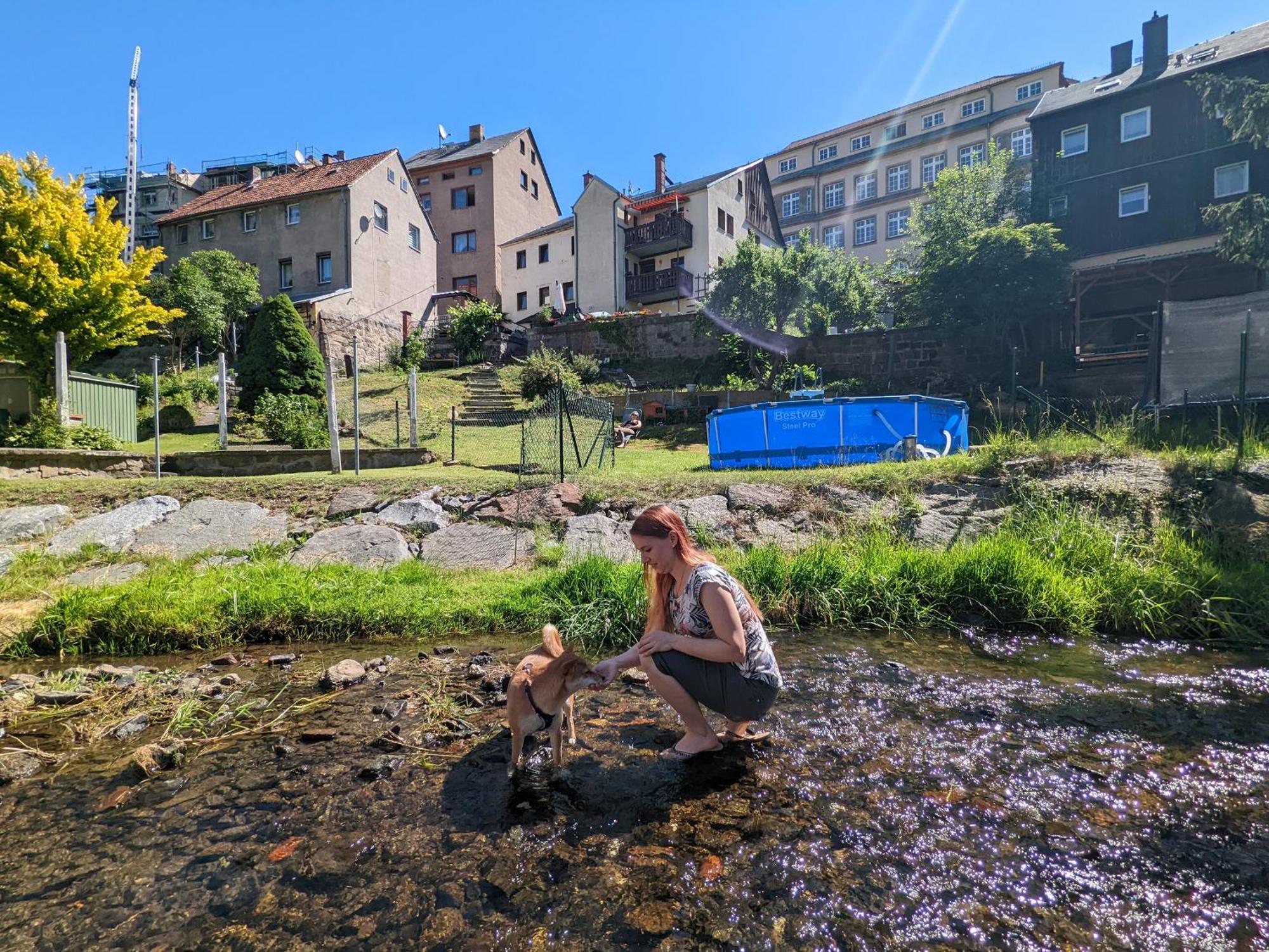 F1 - Urlaubsmagie - Helle Wohnung Mit Sauna & Pool & Whirlpool Зебніц Екстер'єр фото