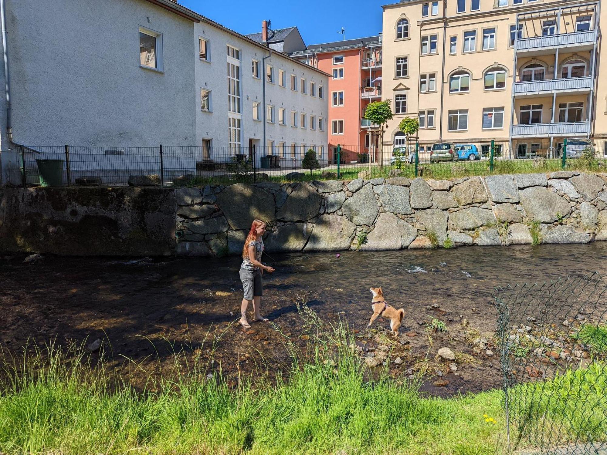 F1 - Urlaubsmagie - Helle Wohnung Mit Sauna & Pool & Whirlpool Зебніц Екстер'єр фото